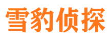 堆龙德庆外遇出轨调查取证